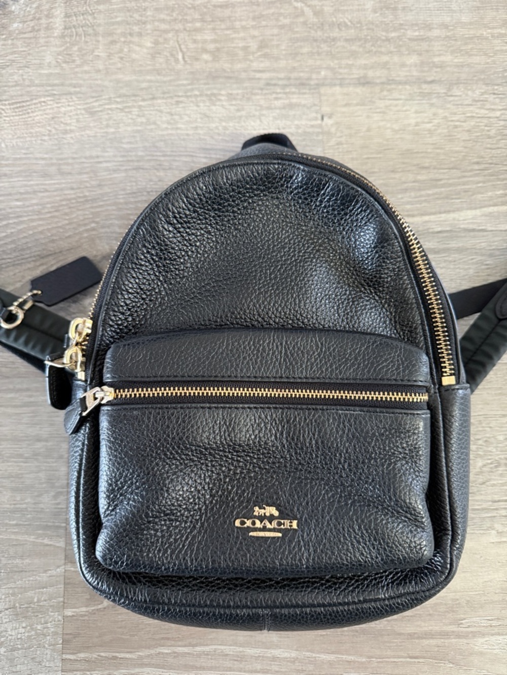 Coach Black Leather Mini Backpack with Gold Hardware